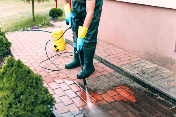 Best Driveway Pressure Washing  in Mount Vernon, NY